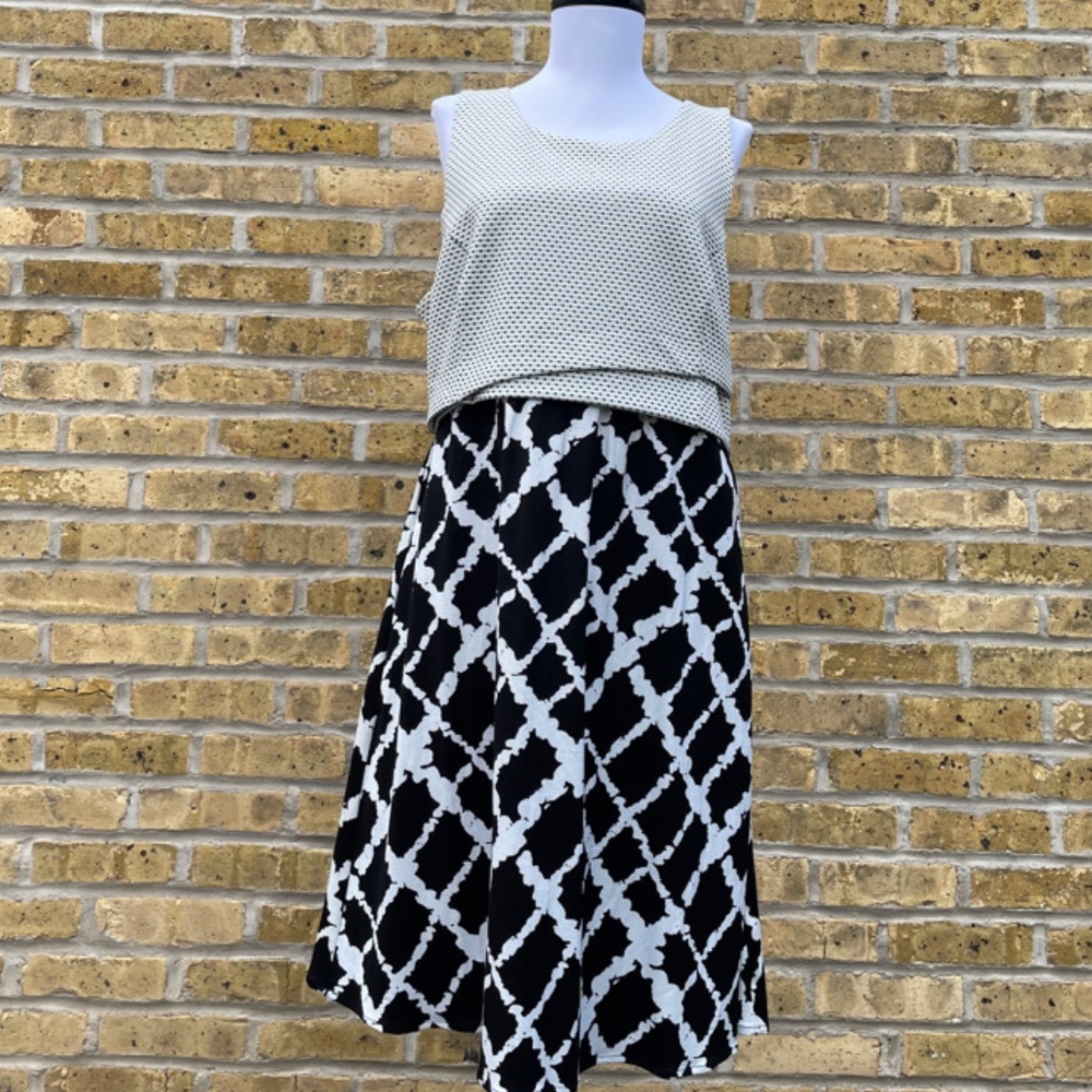 NWT Anthropologie Dress